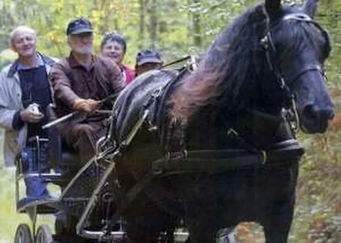 Du Perche Bellemois 3*